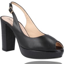Calzados Vesga Zapatos Vestir de Piel con Plataforma para Mujer de Patricia Miller 5553 color negro foto 2