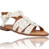 Roman Leather Sandals for Women by Pikolinos Algar W0X-0747