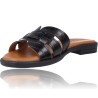 Clogs Flat Leather Sandals for Women by Patricia Miller Denia 5625