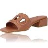Foos Alissa 02 Women&#39;s Leather Sandals Clogs