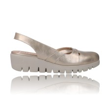 Zapatos Bailarinas...