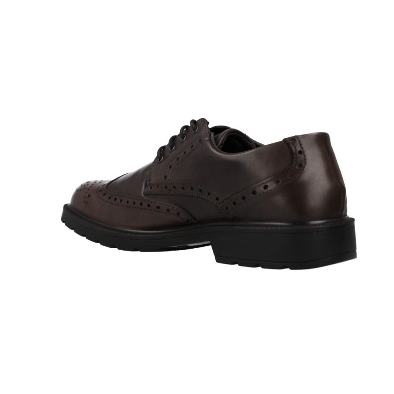 Zapatos De Hombre IGI&CO ZAPATO GORETEX MARRON