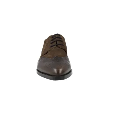 Dansi 8704A Scarpe Oxford Pelle Camoscio Donna Marrone