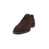 Martinelli Watford Zapatos Derby Ante Cordones Suela de Goma Hombre Marrón