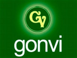 Gonvi